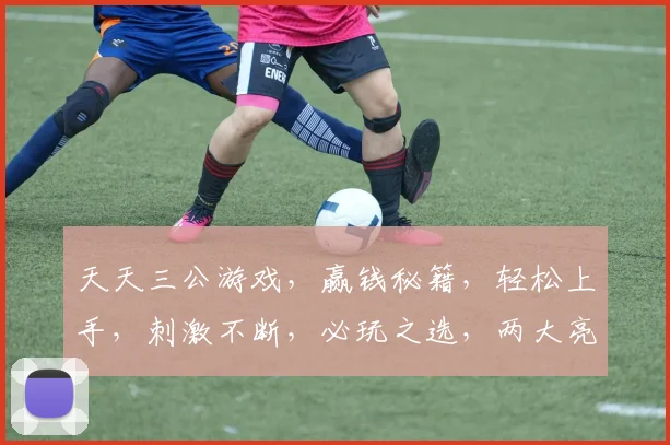 天天三公游戏，赢钱秘籍，轻松上手，刺激不断，必玩之选，两大亮点，不容错过