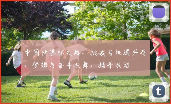 中国世界杯之路，挑战与机遇并存，梦想与奋斗共舞，携手共进