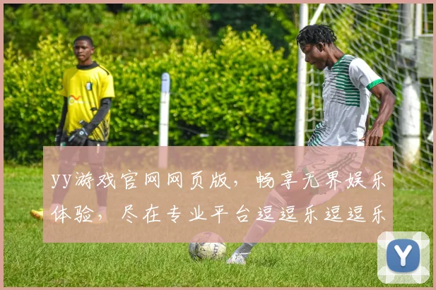 yy游戏官网网页版，畅享无界娱乐体验，尽在专业平台逗逗乐逗逗乐
